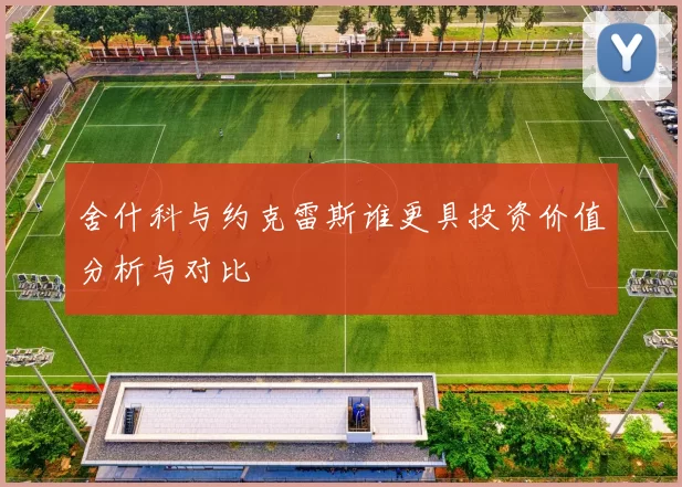 舍什科与约克雷斯谁更具投资价值分析与对比